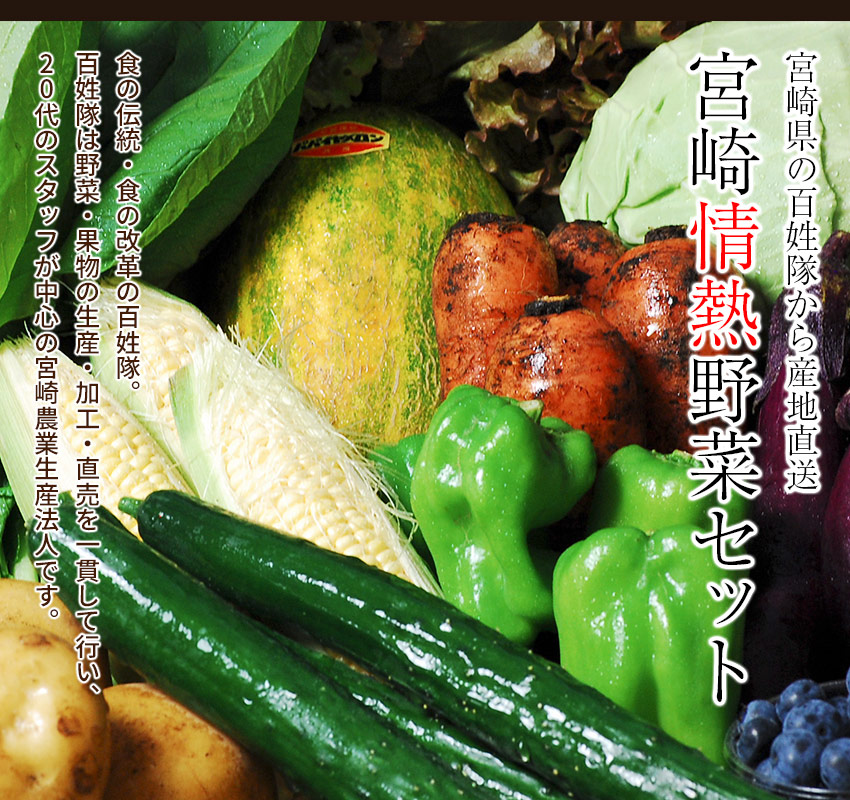 宮崎県からお届けする「宮崎情熱野菜セット」 食の伝統・食の改革の百姓隊。百姓隊は野菜・果物の生産・加工・直売を一貫して行い、20代のスタッフが中心の宮崎農業生産法人です。