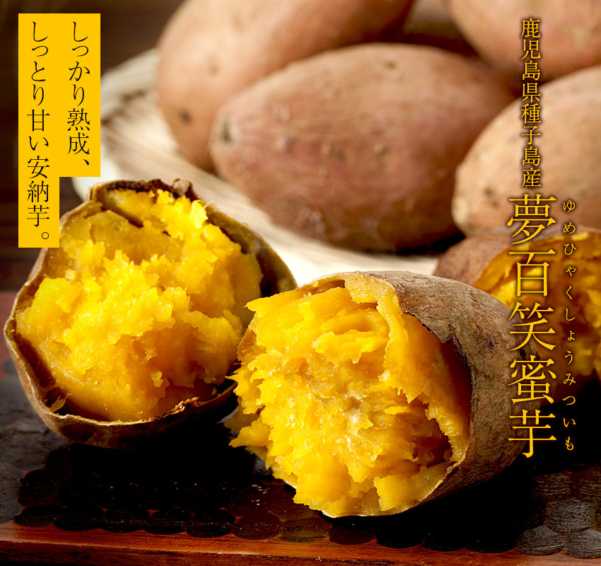 鹿児島県種子島産「夢百笑蜜芋」しっかり熟成、しっとり甘い安納芋