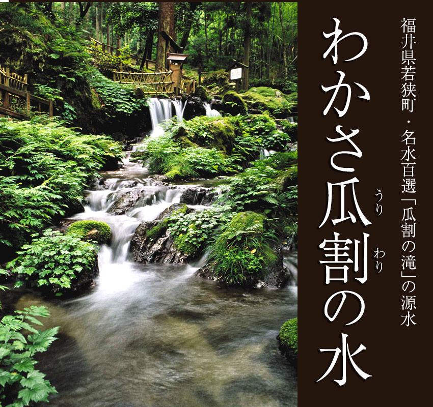 福井県若狭町・名水百選「瓜割の滝」の源水「わかさ瓜割の水」