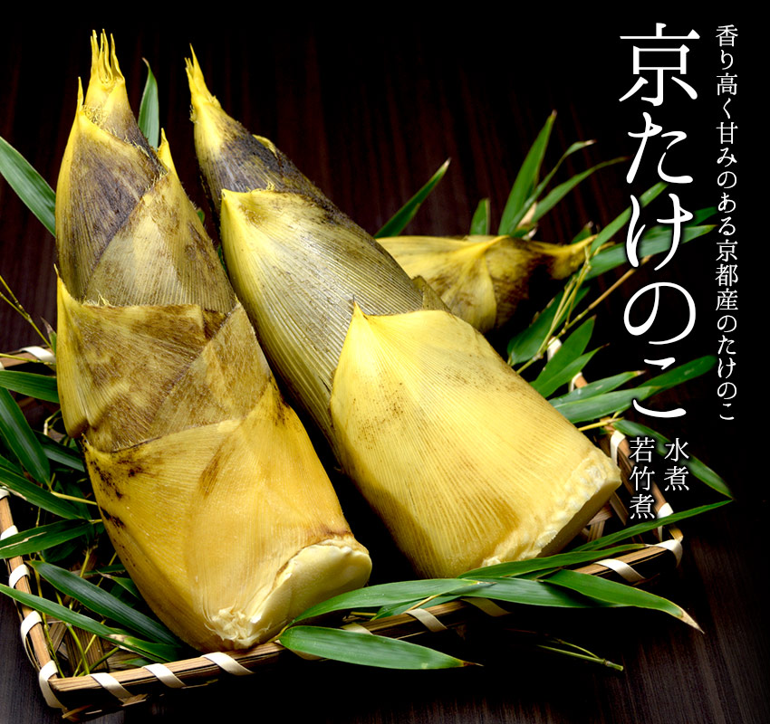 香り高く甘みのある京都産のたけのこ「京たけのこ 水煮・若竹煮」