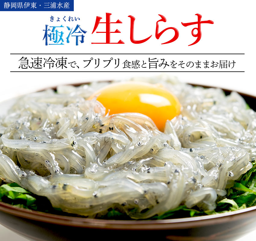 静岡県伊東・三浦水産「極冷 生しらす」急速冷凍で、プリプリ食感と旨みをそのままお届け。