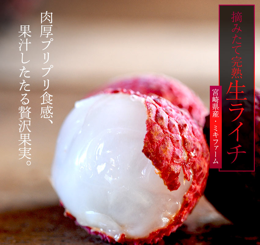 肉厚プリプリ食感、果汁したたる贅沢果実。宮崎県・ミキファーム「摘みたて完熟生ライチ」