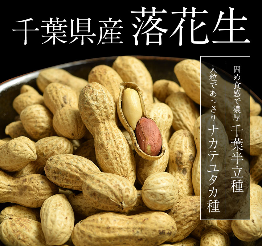 千葉県産落花生　固め食感で濃厚「千葉半立種」大粒であっさり「ナカテユタカ種」
