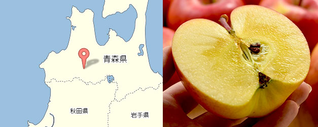 そうま農園・高徳りんご5kg（16～23個）　安心堂　食のSELECTネットショップ