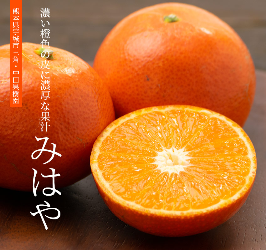 中田果樹園 濃い橙色の皮に濃厚な果汁がたっぷり「みはや」