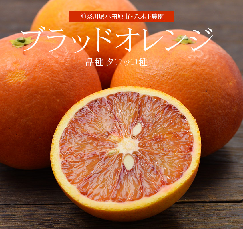 程よい酸味で甘み引き立つ、ジューシーな果実。 神奈川県小田原市・八木下農園「ブラッドオレンジ（タロッコ種）」