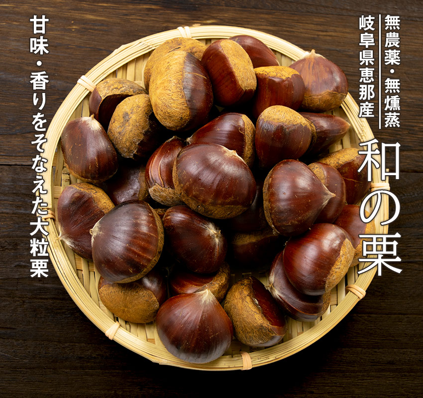 無農薬・無燻蒸 岐阜県恵那産「和の栗」甘味・香りをそなえた大粒栗
