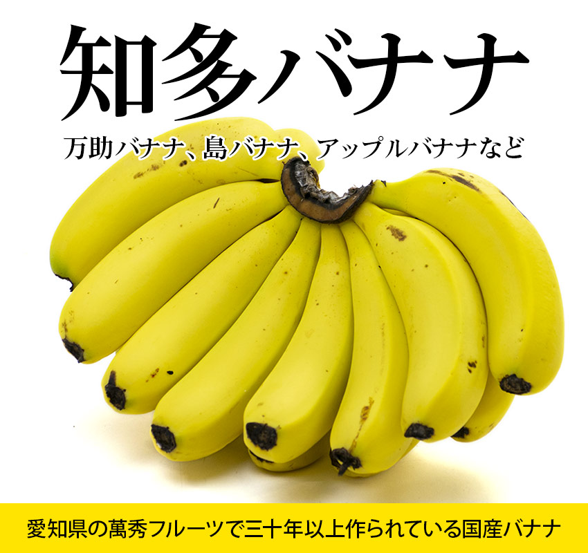 萬秀フルーツ・30年以上作られている国産バナナ「知多バナナ」