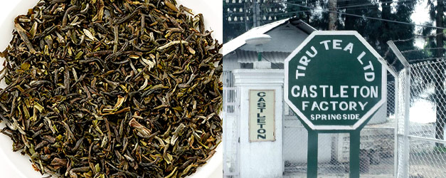 ダージリン・キャッスルトン茶園 2020ファーストフラッシュ/茶葉（50g）DJ-8 | 安心堂 食のSELECTネットショップ