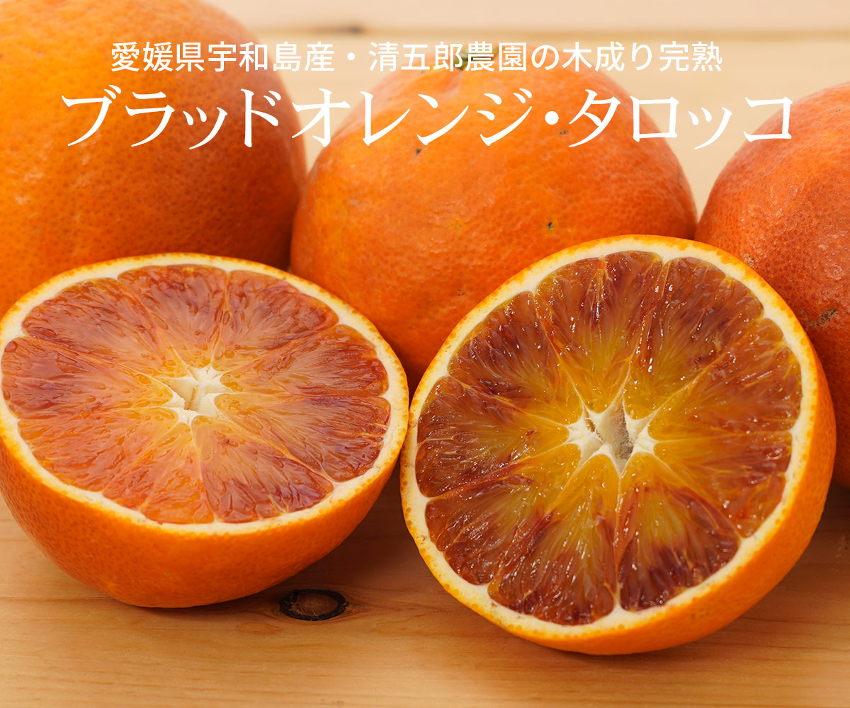 愛媛県宇和島産・清五郎農園の木成り完熟「ブラッドオレンジ・タロッコ」