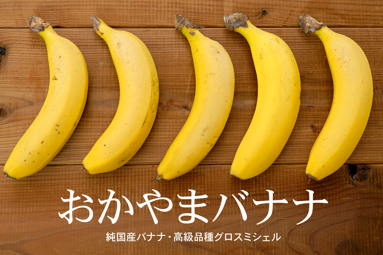 純国産バナナ高級品種グロスミシェルおかやまバナナ