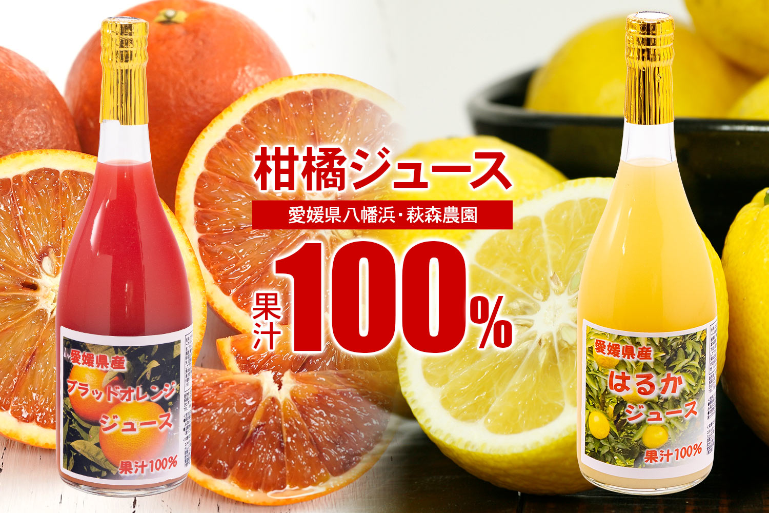 愛媛県八幡浜・萩森農園 果汁100％柑橘ジュース