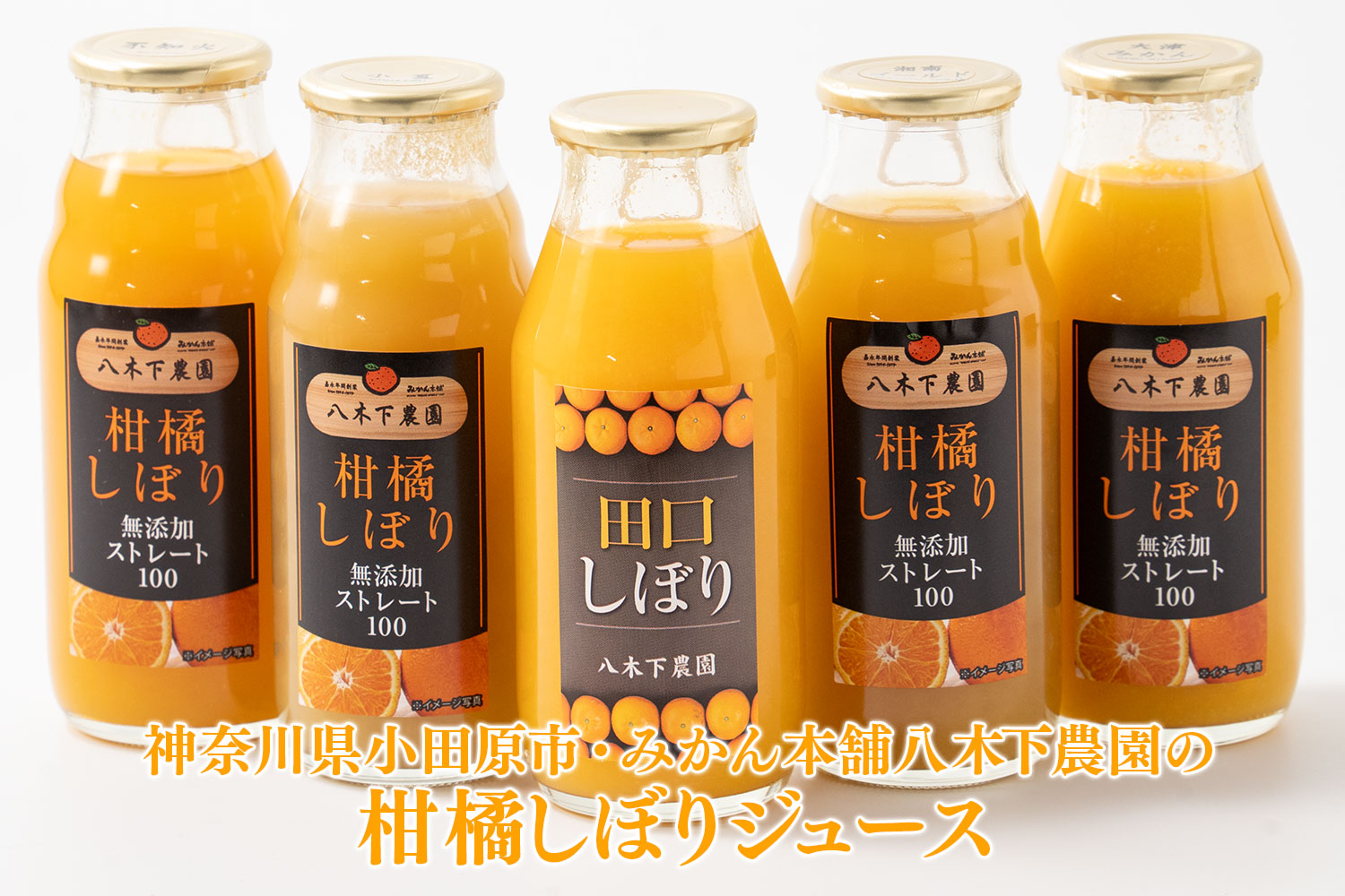 神奈川県小田原市・みかん本舗八木下農園の柑橘ジュース
