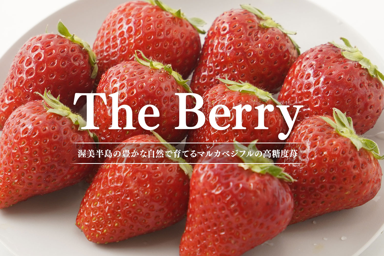 渥美半島の豊かな自然で育てるマルカベジフルの高糖度苺「The Berry」