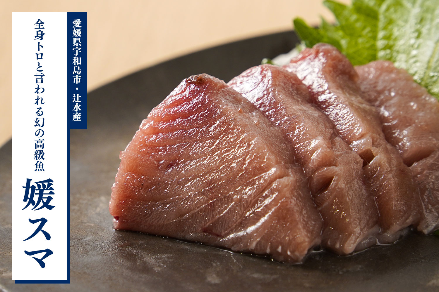 全身トロと言われる幻の高級魚スマガツオ 愛媛県宇和島市・辻水産「媛スマ」