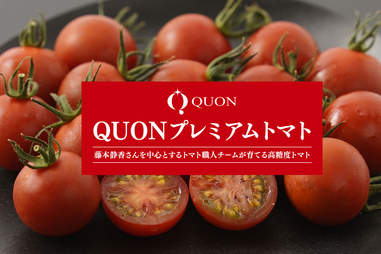 藤本静香さんを中心とするトマト職人チームが育てる高糖度トマト「QUONプレミアムトマト」
