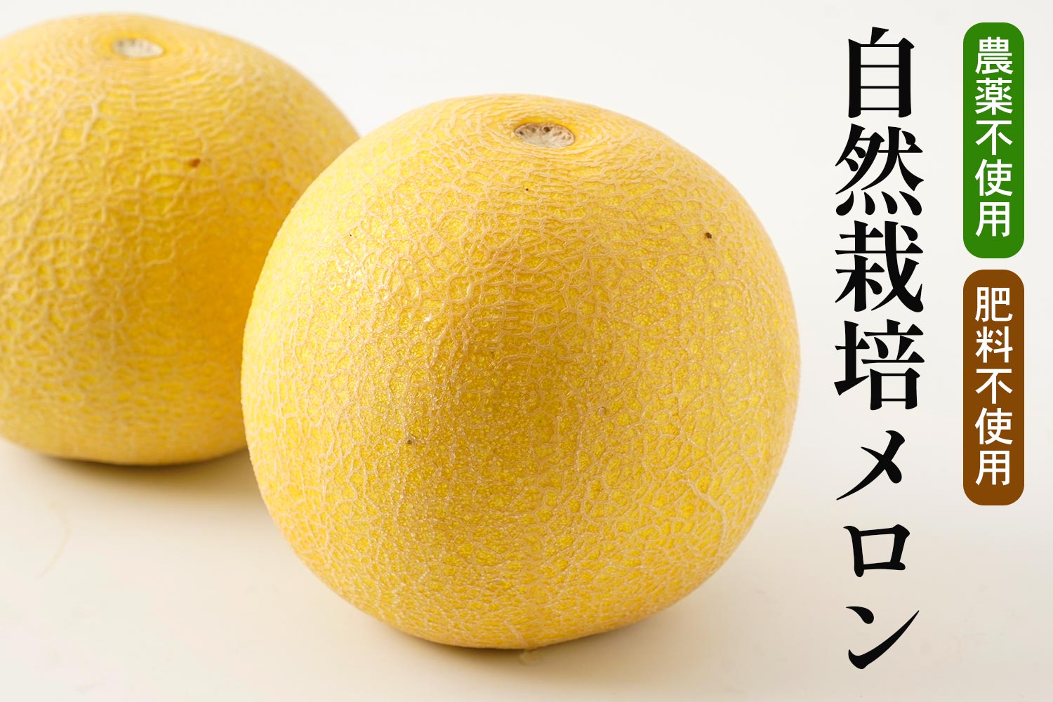 農薬不使用・肥料不使用「自然栽培メロン」