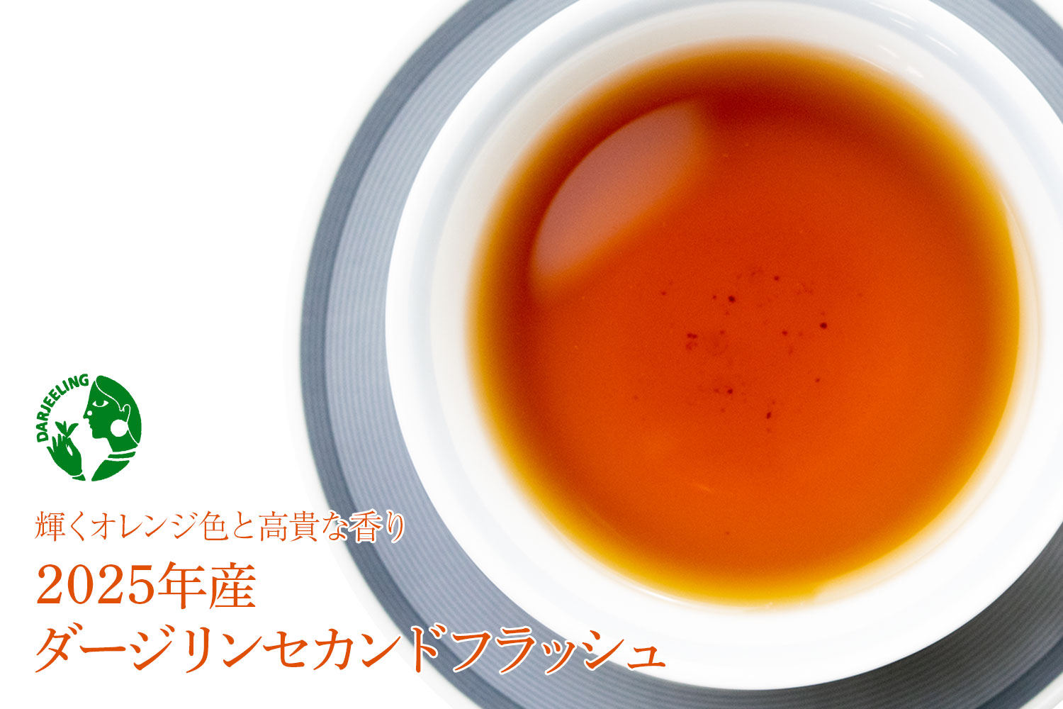輝くオレンジ色と高貴な香り「2025年産ダージリンセカンドフラッシュ」