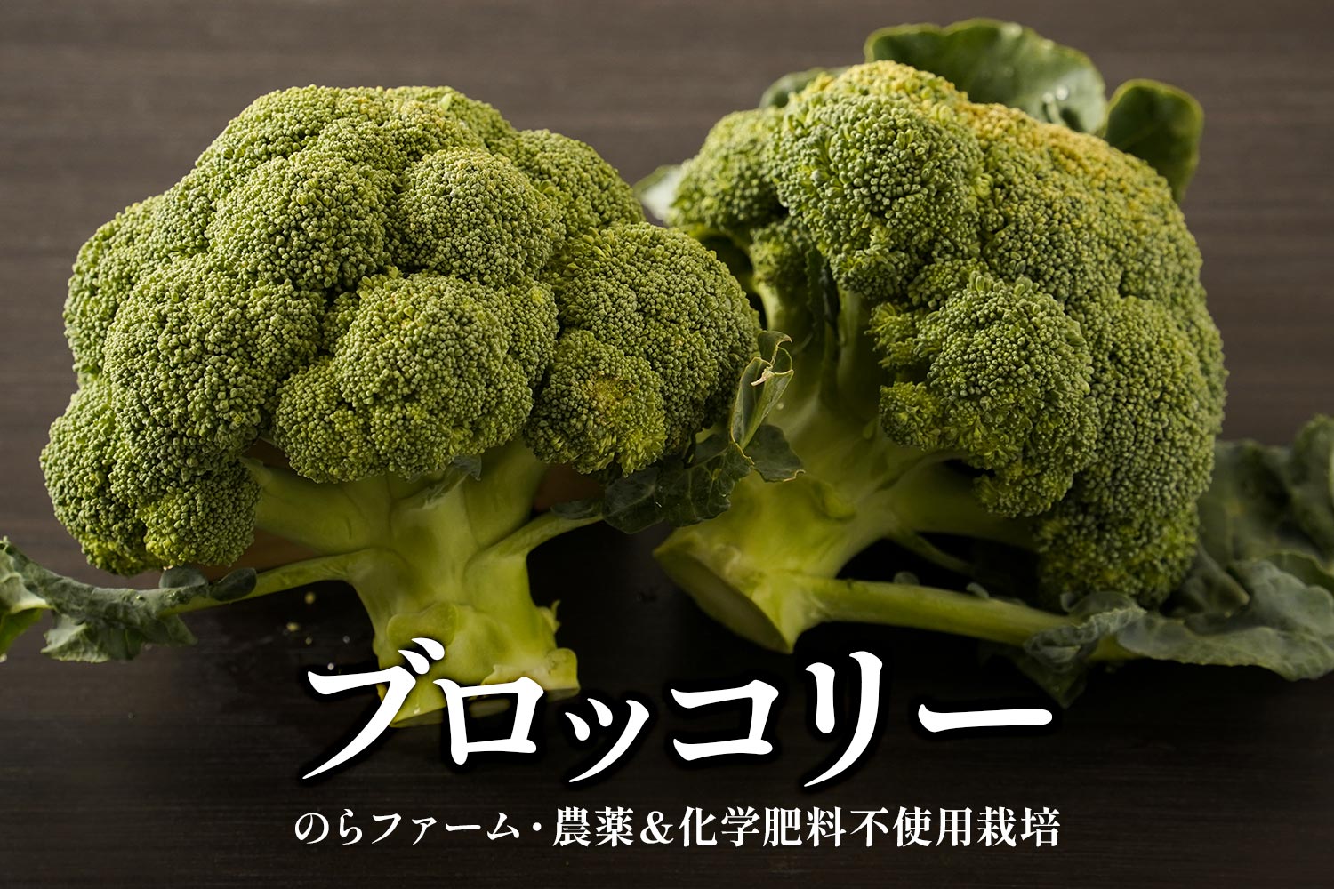 のらファーム・農薬＆化学肥料不使用栽培「ブロッコリー」