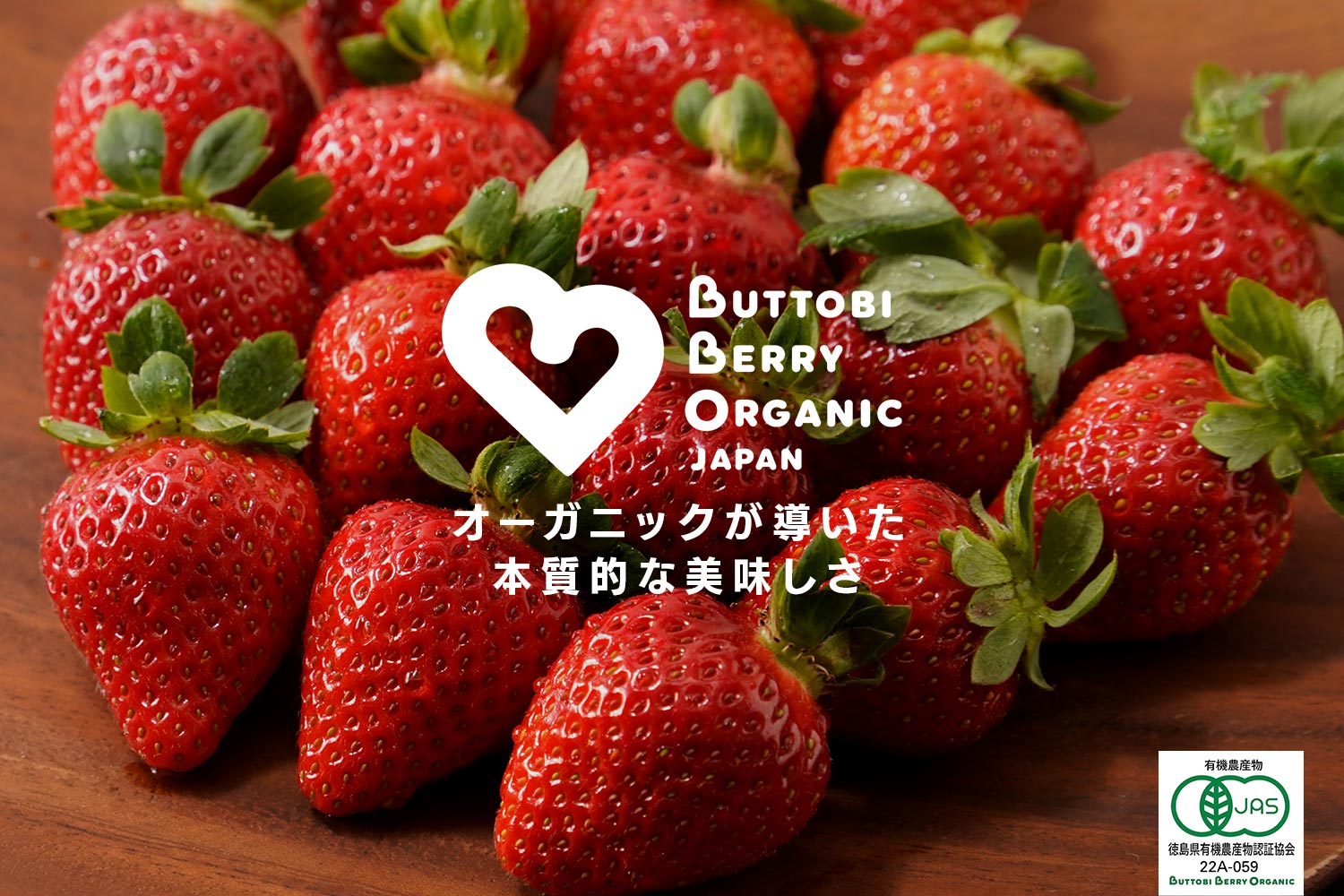 BUTTOBI BERRY ORGANIC オーガニックが導いた本質的な美味しさ