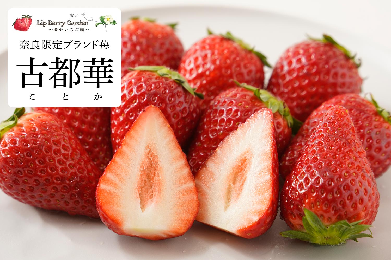Lip Berry Garden ～幸せいちご園～ 奈良限定ブランド苺「古都華」
