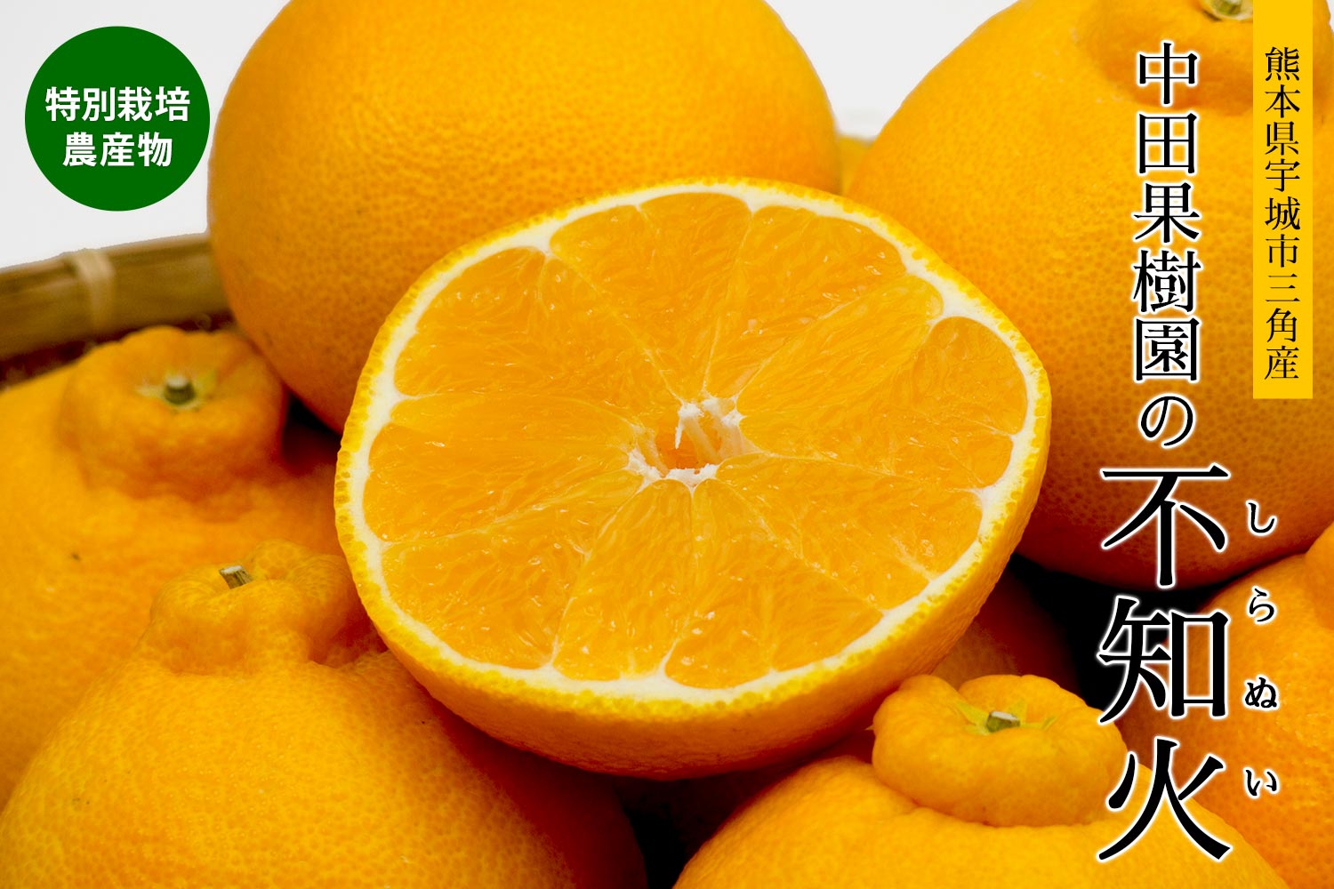 熊本県三角産中田果樹園の特別栽培農産物「不知火」