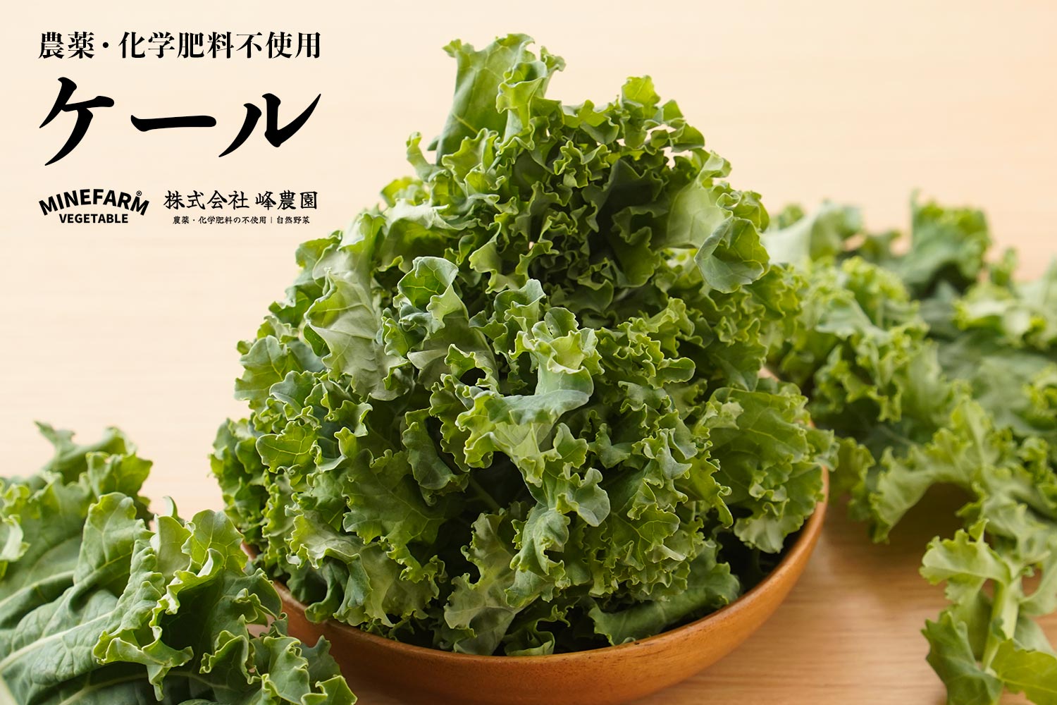 峰農園 農薬・化学肥料不使用「ケール」