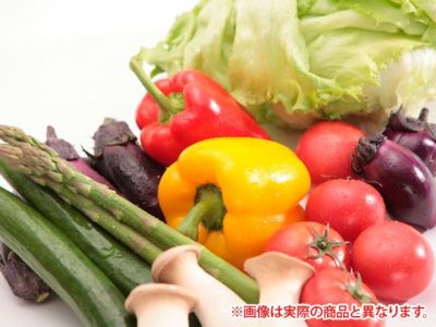 野菜セットA（キャベツ5玉・ピーマン約2.5kg・にんじん約5kg） 3種