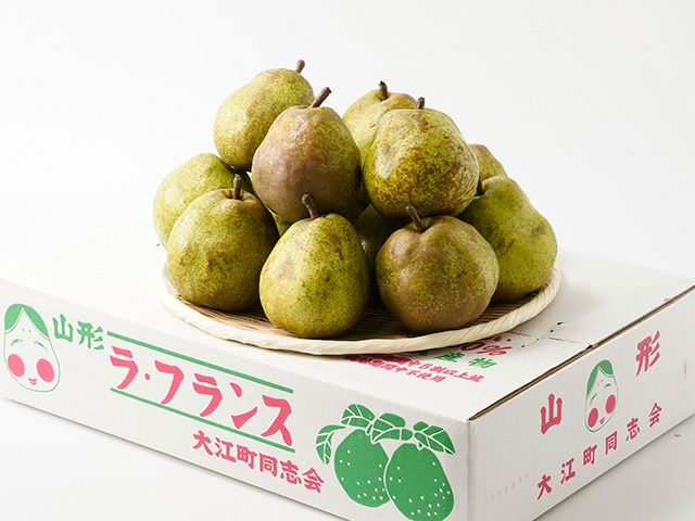 鈴木果樹園 山形産ラ・フランス（5kg）【山形セレクション】3～4L