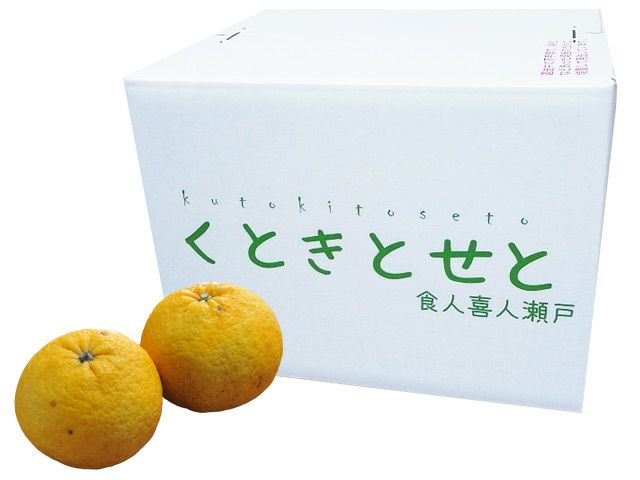 日野さんの自然農法甘夏【B品】5kg（自然栽培・農薬不使用