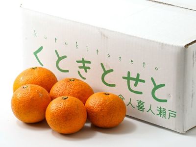 自然農法清見オレンジ【B品】5kg | 安心堂 食のSELECTネットショップ