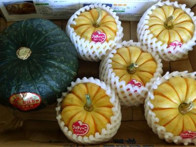 伊藤農園（キャベツ・かぼちゃ） | 栗かぼちゃ＆プッチィーニ | 安心堂