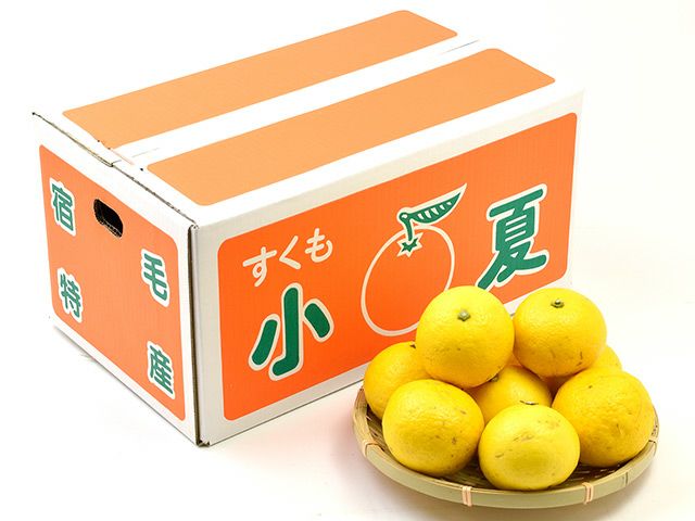 小夏樣専用 000000122514-01-l.jpg?t=