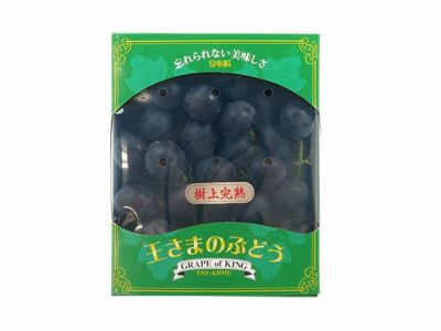 信州産　家庭用　クイーンルージュ™︎  ナガノパープル Amazon.co.jp: シャインマスカット+ナガノパープル+クイーン