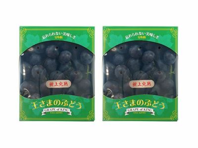 000000012114-01-m.jpg?t=