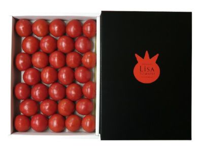 トマトさま専用 EASTBEE クラッシュド トマト 2550g ( 固形量 1530g / 1号缶