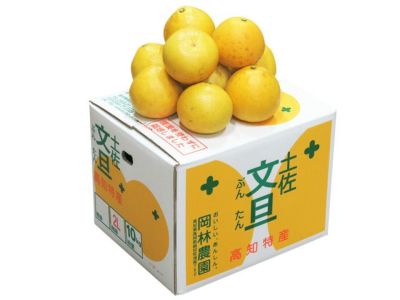 松岡農園・宿毛の土佐文旦【家庭用】10kg/2L（21玉前後） | 安心堂 食