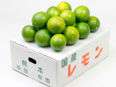 中田果樹園・グラントレモン(マイヤー系) 3kg（約24個） | 安心堂 食の