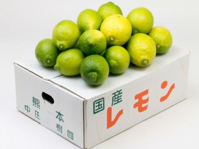 中田果樹園・シークワーサー（5kg） | 安心堂 食のSELECTネットショップ