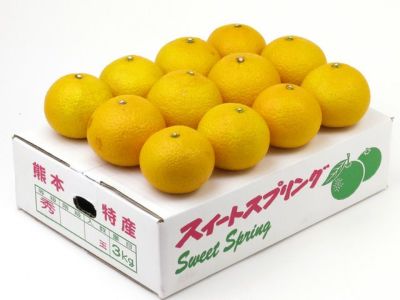 中田果樹園・シークワーサー（5kg） | 安心堂 食のSELECTネットショップ