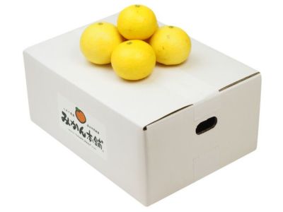 湘南ゴールド | 安心堂 食のSELECTネットショップ