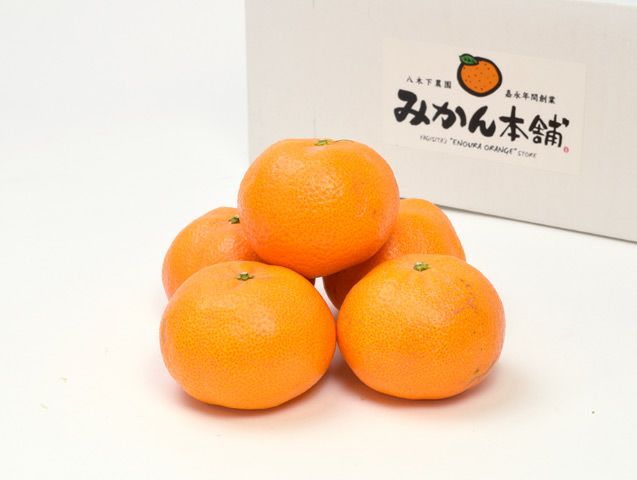 八木下農園・たまみ3kg（13～30個） | 安心堂 食のSELECTネットショップ