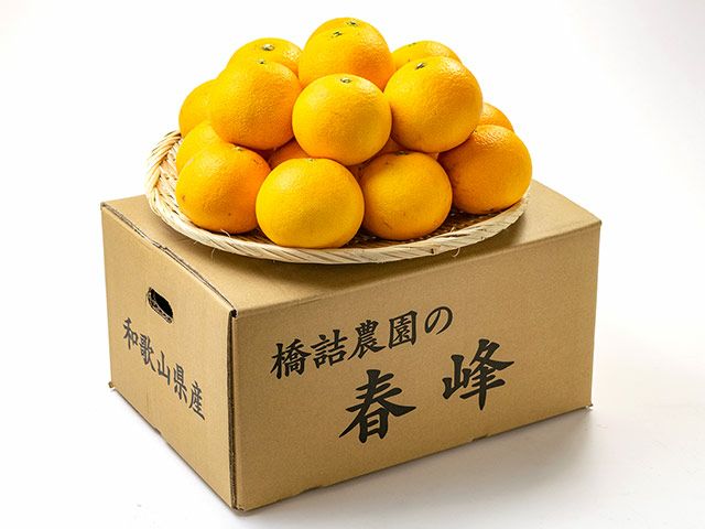 橋詰農園・春峰（5kg）20～24玉入り | 安心堂 食のSELECTネットショップ