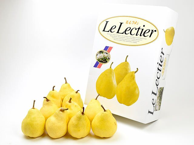 やまいち鈴木農園・ル レクチエ10玉(3.7kg)【秀品】 | 安心堂 食の