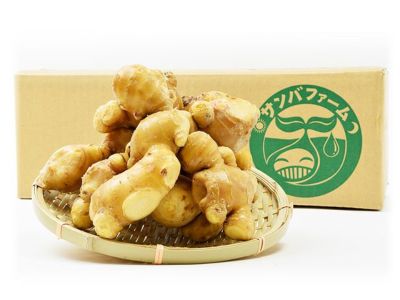 十郎梅 不農薬 曽我梅林 不農薬ならではの 斑点あります。 4kg