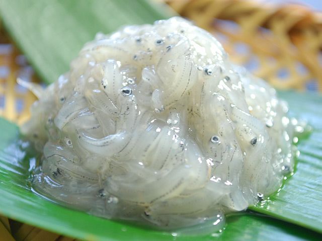 000000013080-01-l.jpg?t=