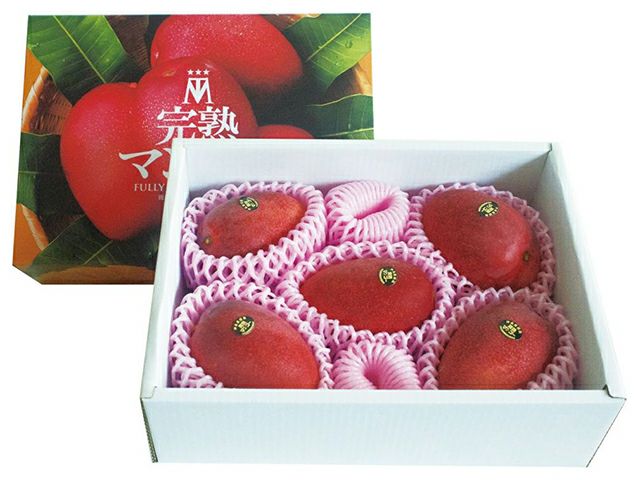 田中マンゴー園・完熟アップルマンゴー 2kg(4～6玉入り) | 安心