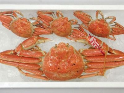 吉成屋・五島列島産 天然活モクズガニ（2kg・7匹～18匹）【熨斗・カード不可】 | 安心堂 食のSELECTネットショップ