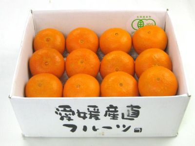 愛西グループ（まどんなミカン・はるか・甘平） | 安心堂 食の