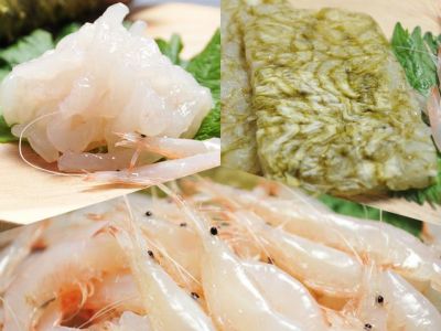 富山湾産 白えび刺身 100g 安心堂 富山湾産 白えび刺身 100g 安心堂